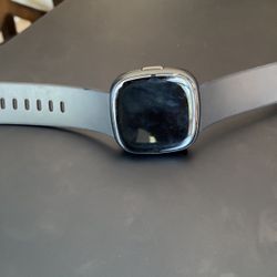 Fitbit vesa 2