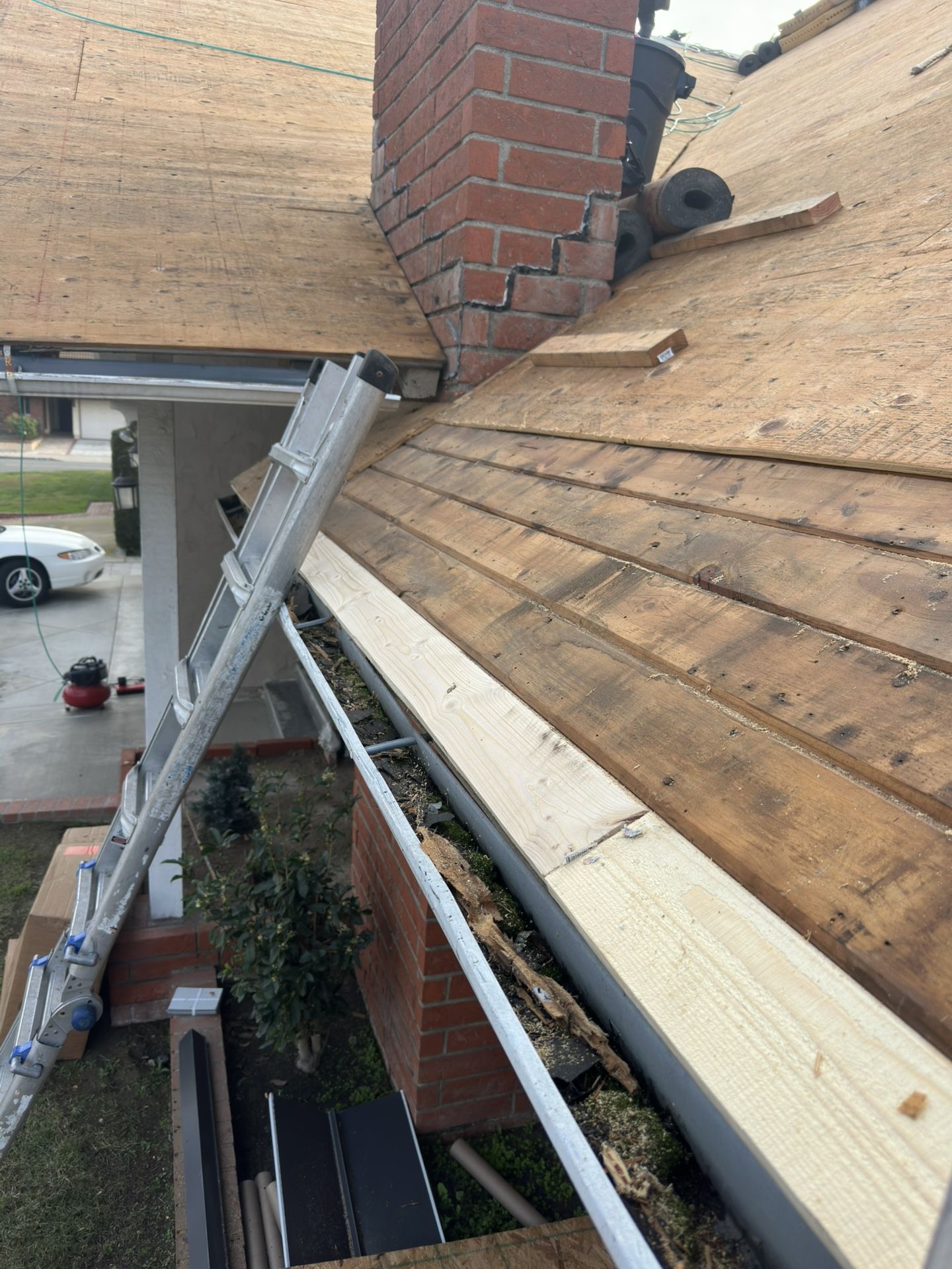 Roof Wood 🪵 Plywood