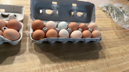 Huevos De Rancho