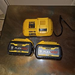 Vendo 2 Baterías Con Cargador 380 Por Las 3 Cosas