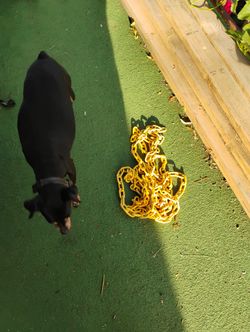 Heavy Duty Towing Chain