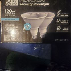 Motion Activated Floodlights (2)