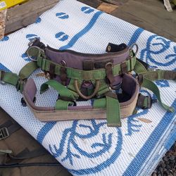 Buckingham Arbormaster Series Tree Climbing Saddle 