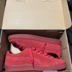 Puma Suede Shoes