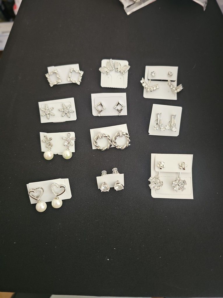 Stainless Steel Silver Earrings