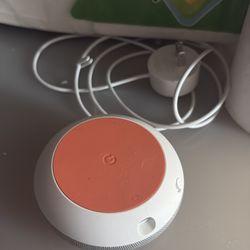 Google home assistant