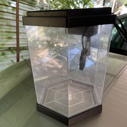 Topfin Fish tank 2.5 Gallon