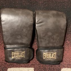 Everlast Flat Boxing Gloves 