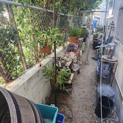 Round Base Plant Stand 