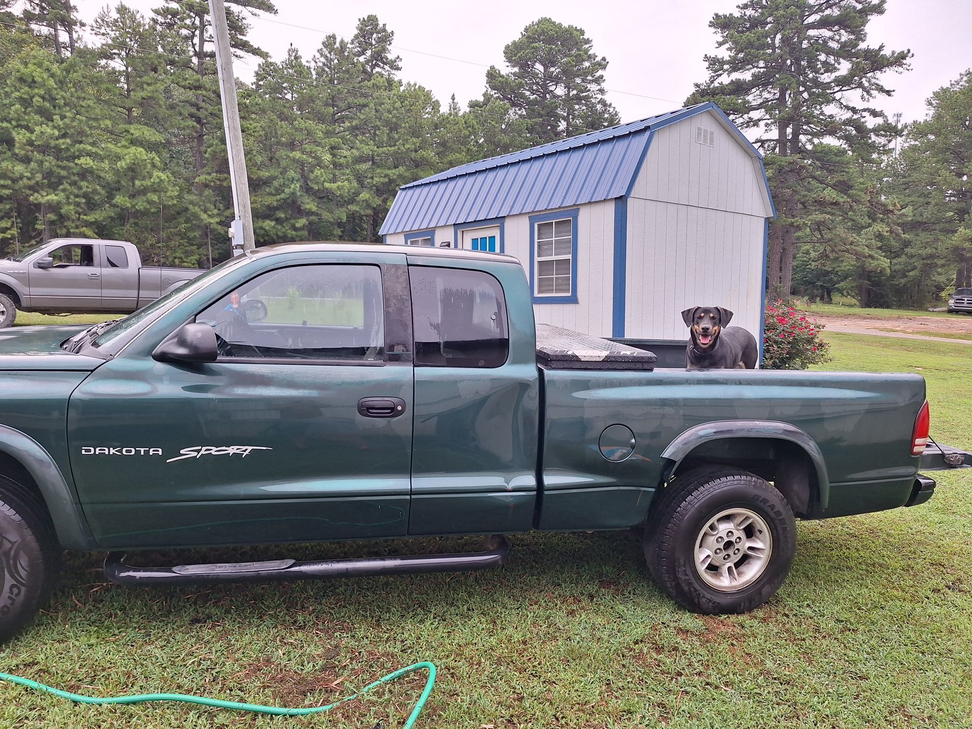 1999 Dodge Dakota