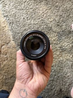 Canon EF-S 55-250mm f/4-5.6 IS STM Telephoto Zoom Lens