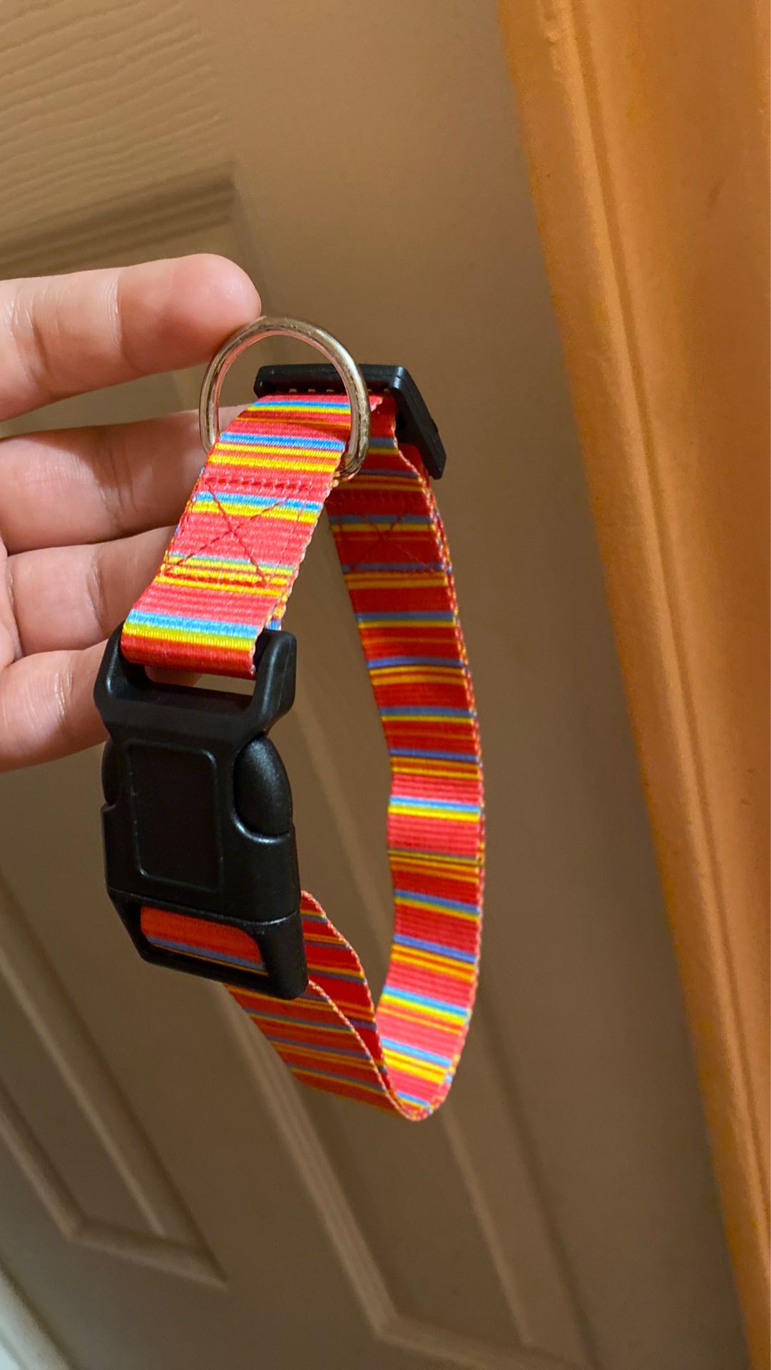 Brand new dog collar size large