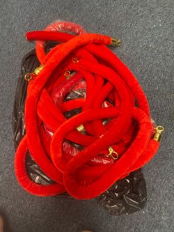 7 red carpet rope