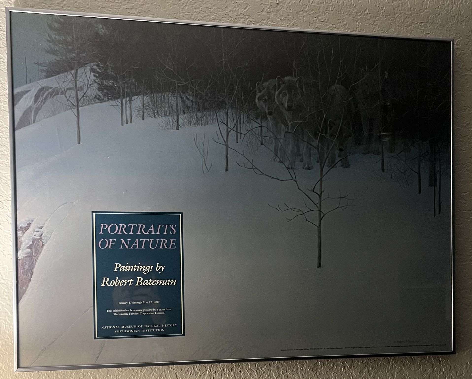 Framed Robert Bateman "Clear Night Wolves" Smithsonian Poster - Excellent Condition!