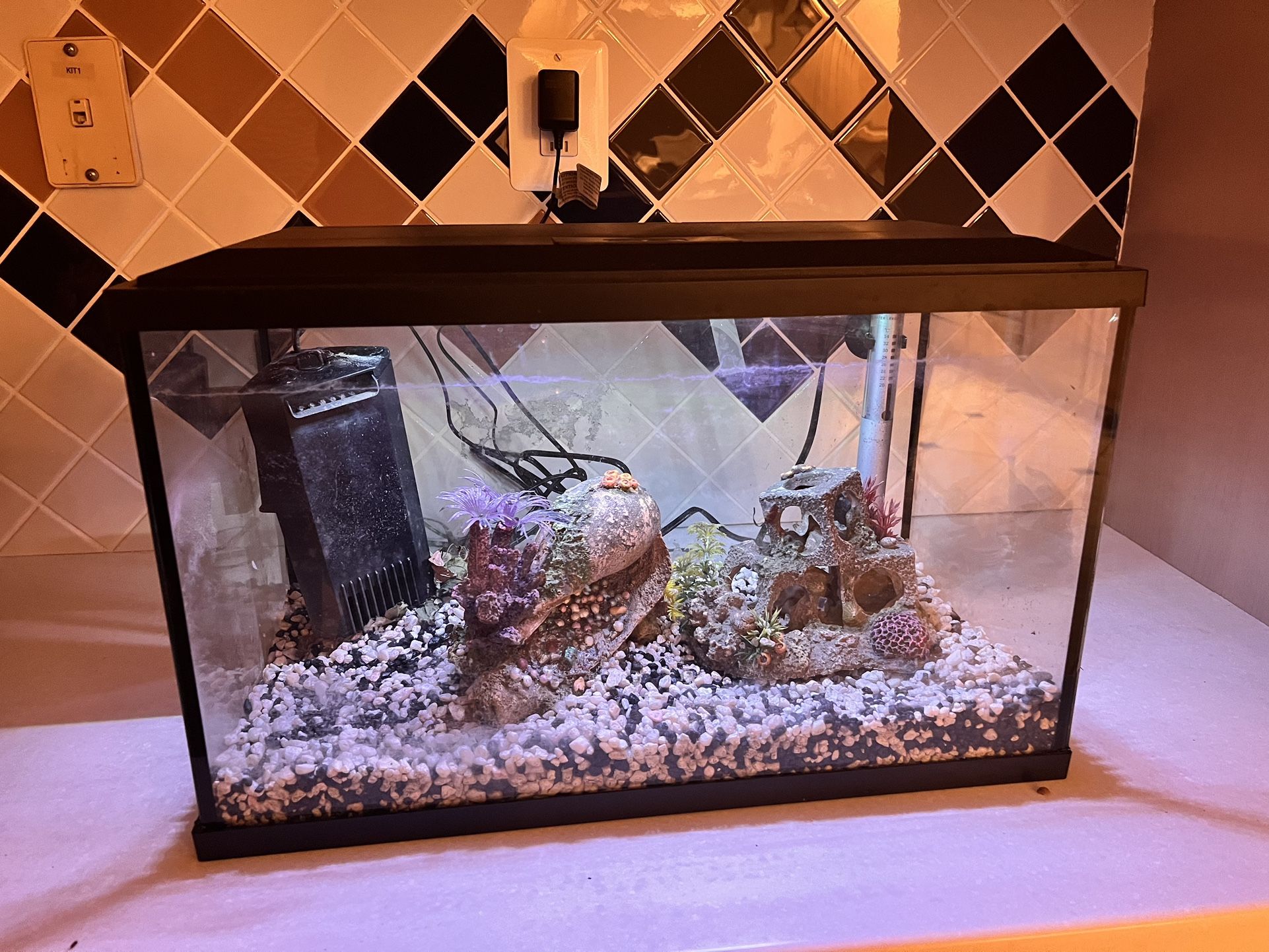 10 Gallon Fish Tank