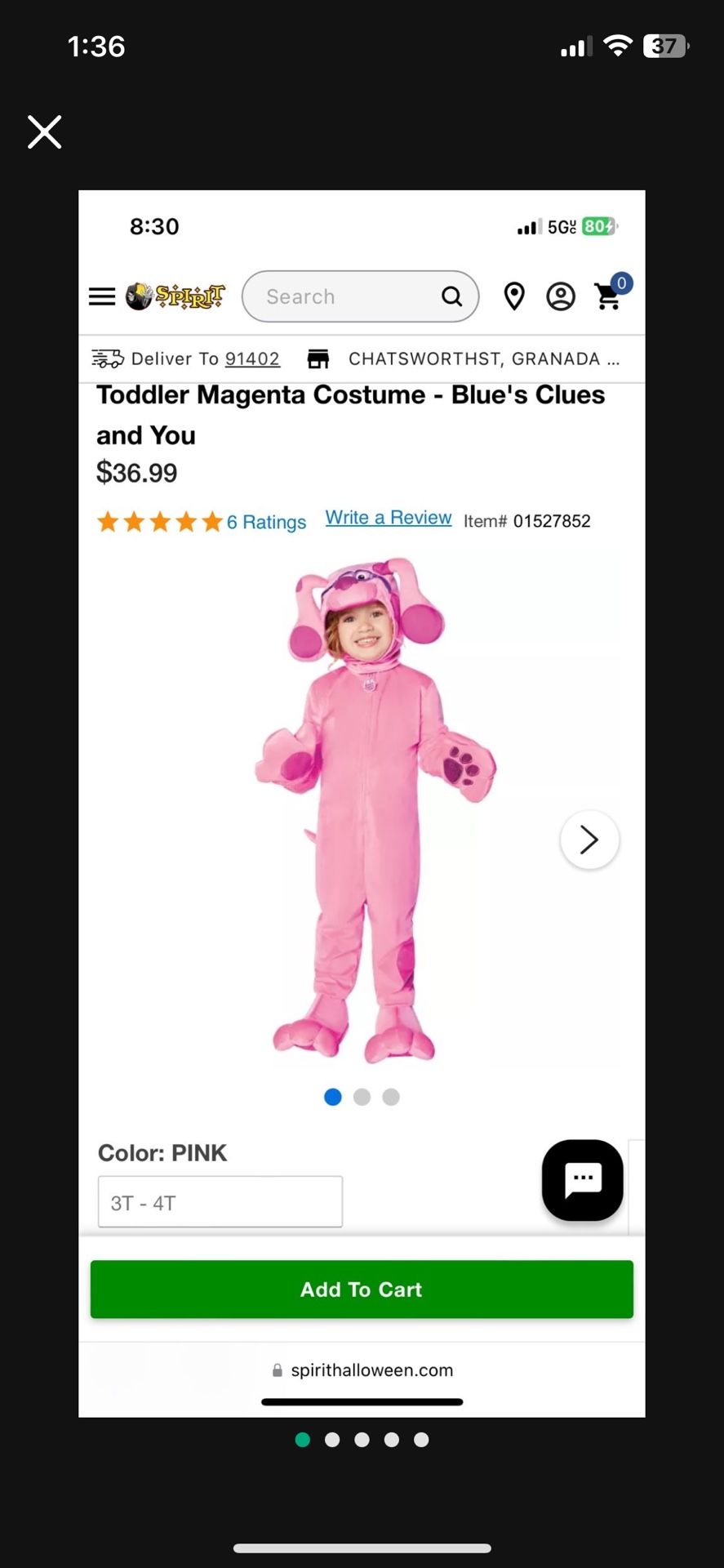 Blues Clues Magenta Costume