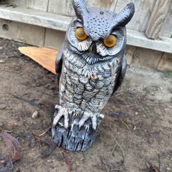 Owl Figure Statue 