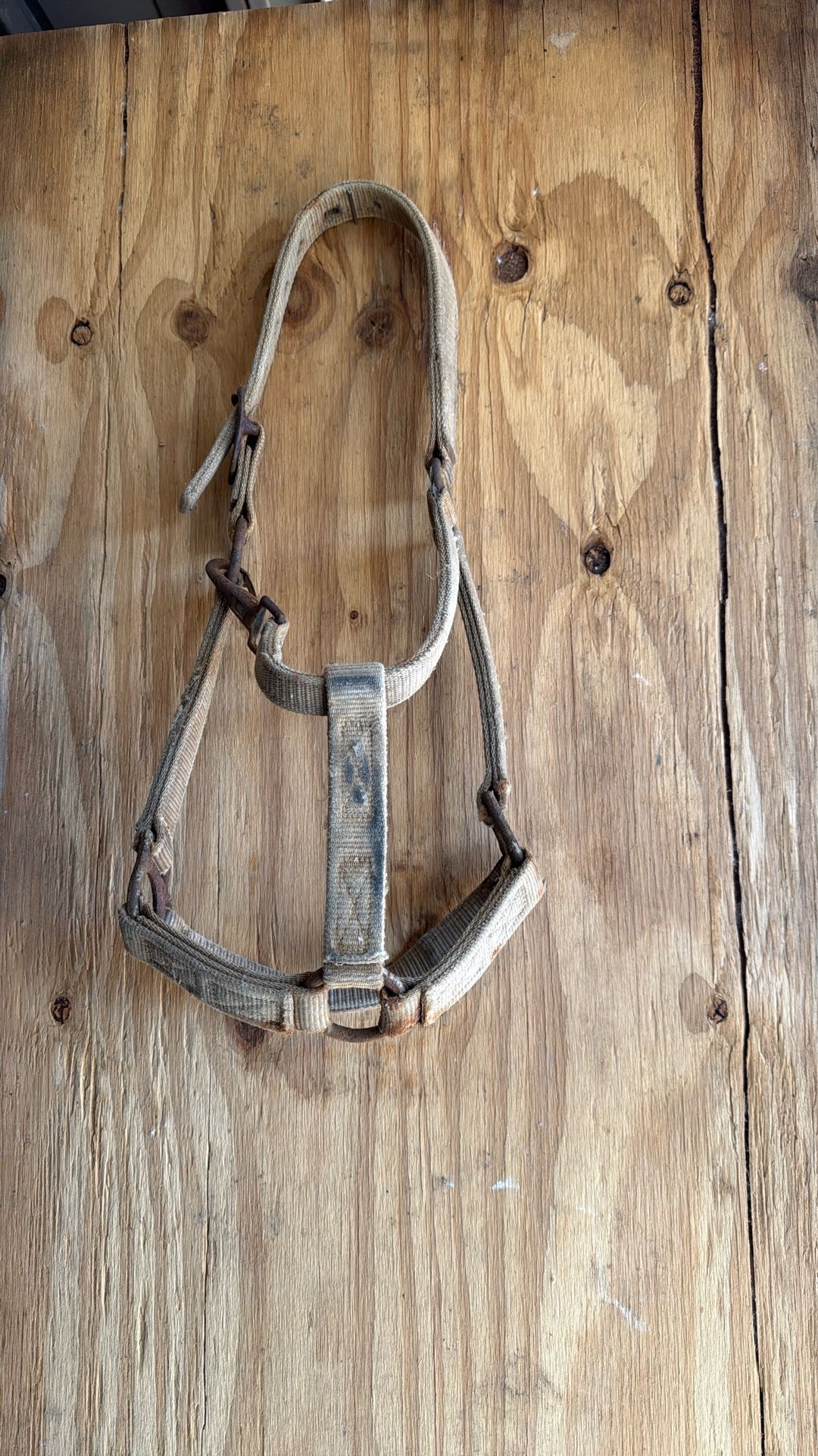 Horse Halter