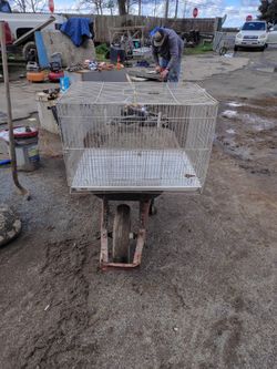 Bird Cage Good Condition Great For Your First Bird Experience