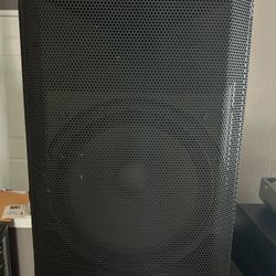 Alto Speaker 12 Inch