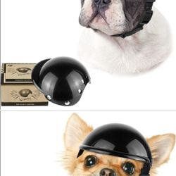 New helmet for dog and/ or cat Size M