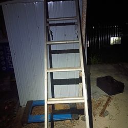 Werner 20' Ladder