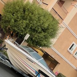 Boat For Trade 