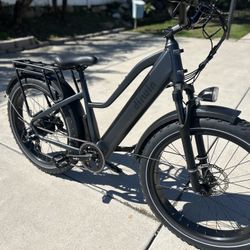 Dirwin Pioneer Electric Bike