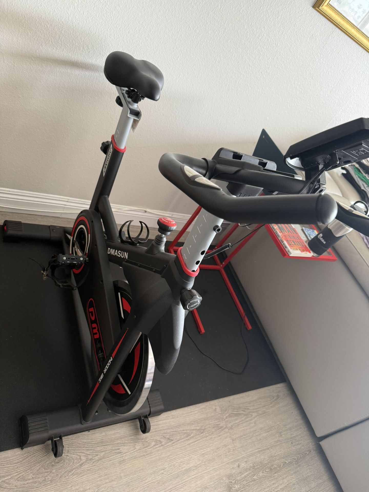 Dmasun Exercise Bike