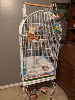 Bird cage