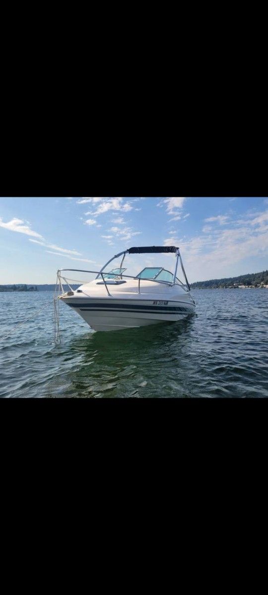 Bayliner Capri 2052 With Cuddy Cabin