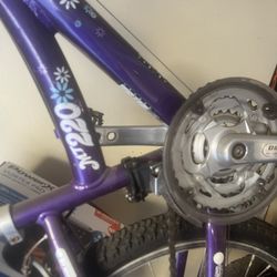 Girls Mountain Bike 