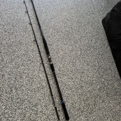 11 Foot Surf Fishing Rod / Pole- Spinning 