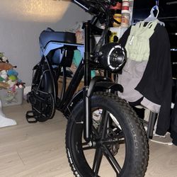 Fat Tire E Bike