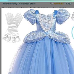 Cinderella Dress