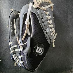 Rawlings Teeball Glove