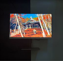 HP Monitor (Send Best Offer)