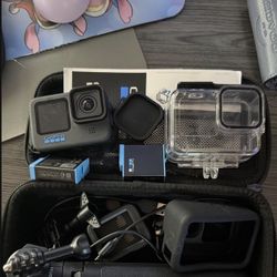 Go Pro Hereo10 & Accessories 
