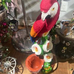 Beautiful Parrot Planter
