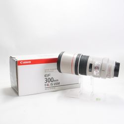 Canon EF Telephoto 300mm f/4 L IS USM Zoom Lens