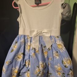 Blue And White Dress Size 4t