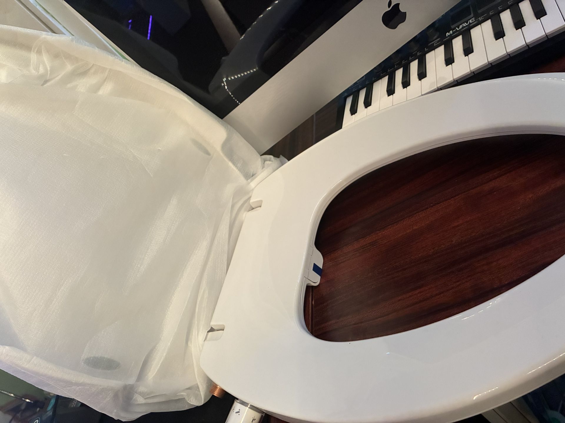 Toilet Seat Bidet