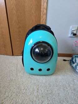 Mint colored cat carrier