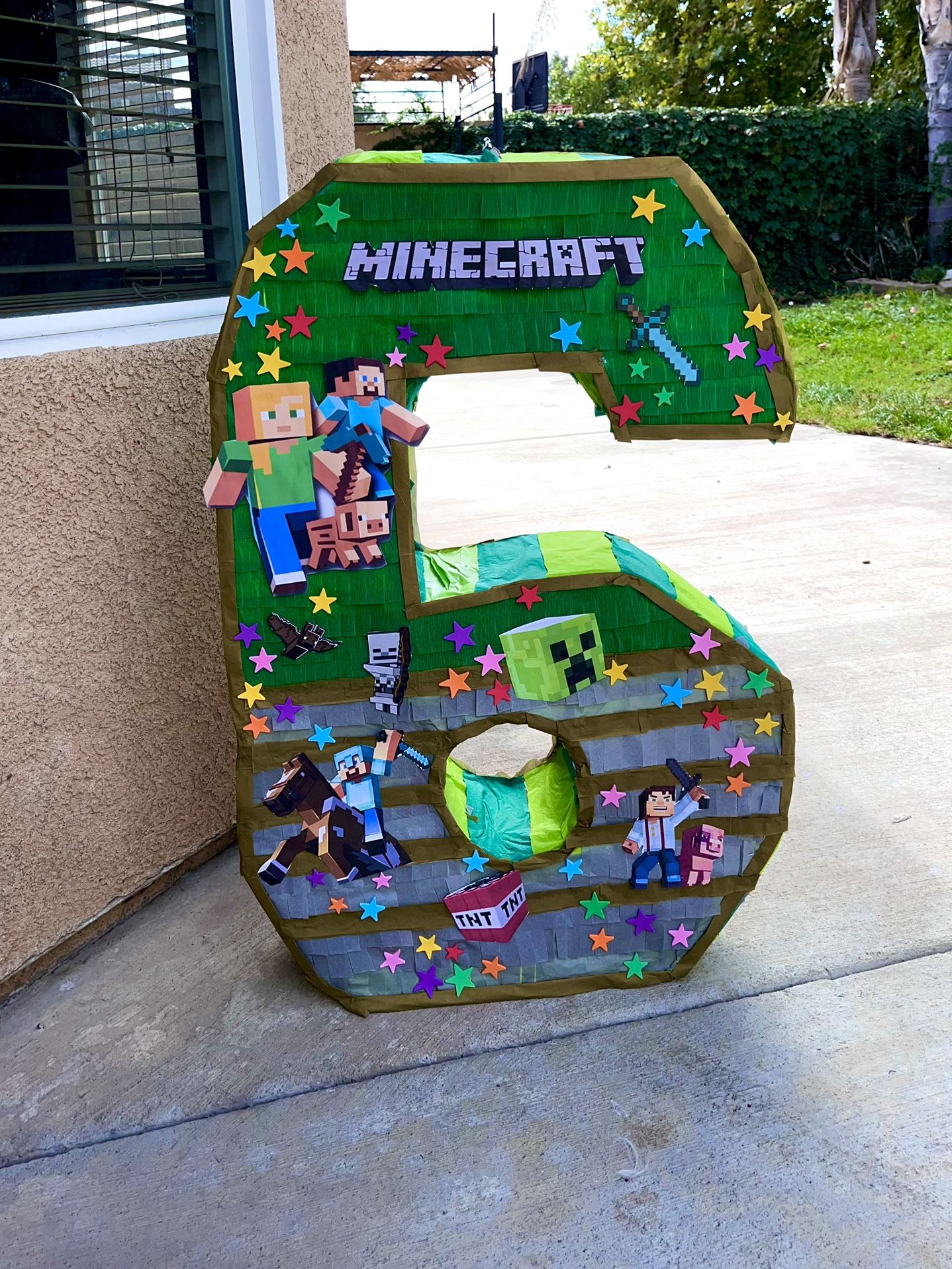 Number 6 Mind craft Theme Piñata