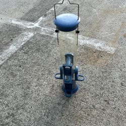 Blue Bird Feeder
