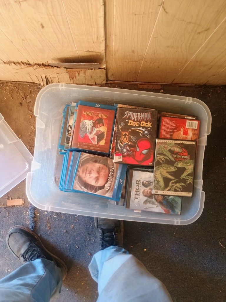Blu Ray And Regular DVDs