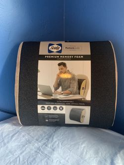 Lumbar Cushions