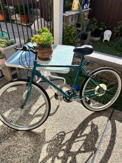 Road Master chrome Edition Bike 