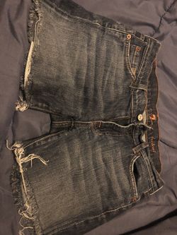 Women’s Seven  Shorts 