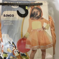 Bingo Costume